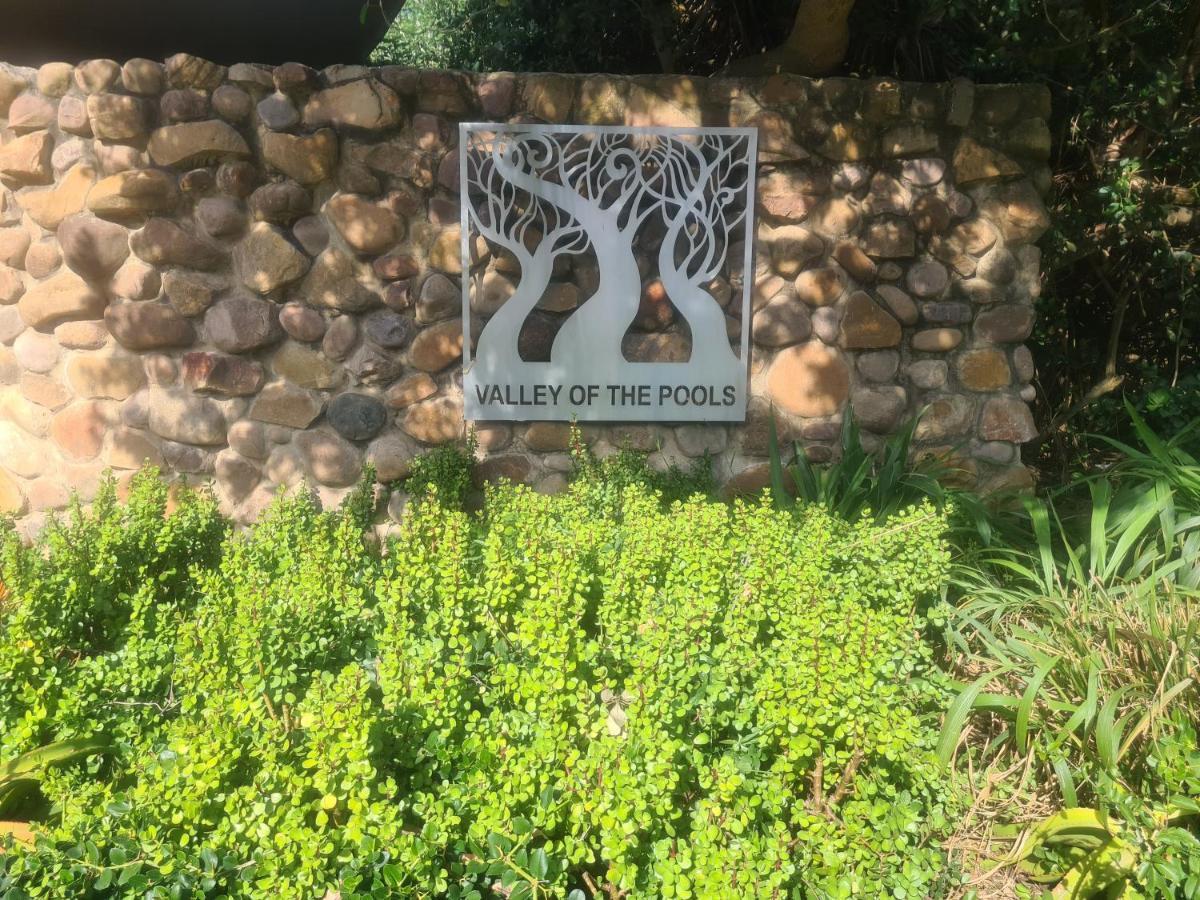 Zimbali 20 Phezulu *